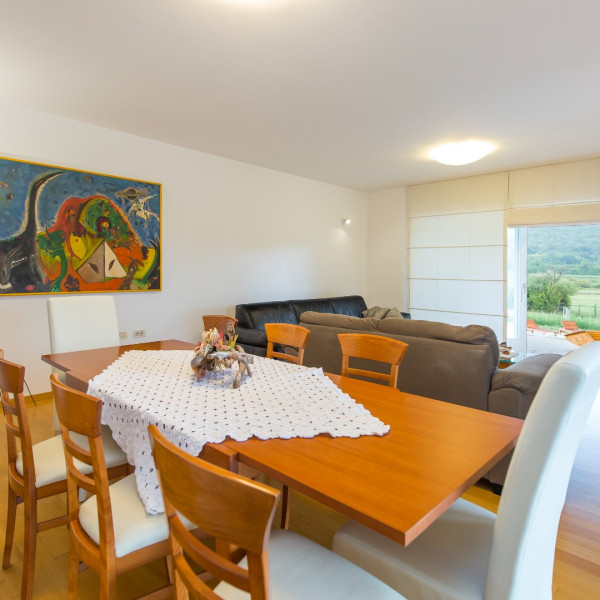 Living room, Villa Dani, Villa Dani with pool and playground, Salakovci - Labin, Istria - Croatia Salakovci