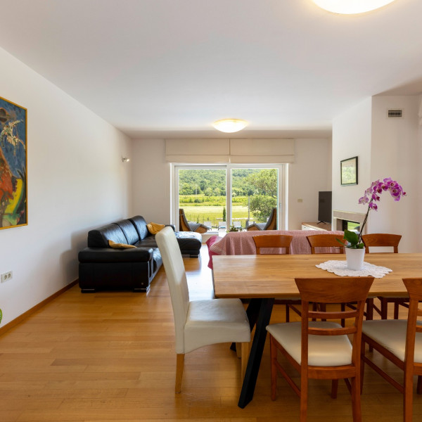 Living room, Villa Dani, Villa Dani with pool and playground, Salakovci - Labin, Istria - Croatia Salakovci