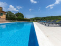 Eksterijer, Villa Dani s bazenom i igralištem, Salakovci - Labin, Istra Salakovci